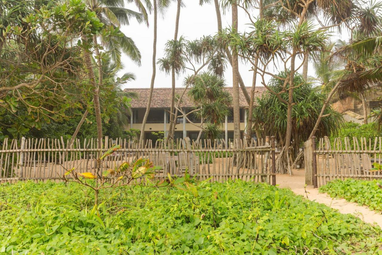 Villa Saffron Hikkaduwa Exteriör bild